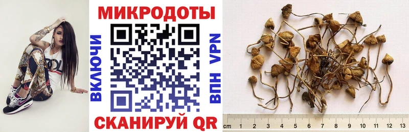 blacksprut как войти  Белорецк  маркетплейс официальный сайт  Галлюциногенные грибы GOLDEN TEACHER 