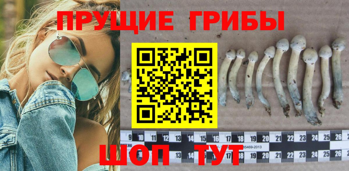 Псилоцибиновые грибы GOLDEN TEACHER  Псилоцибиновые грибы Psilocybe  Белорецк  Вход с VPN 